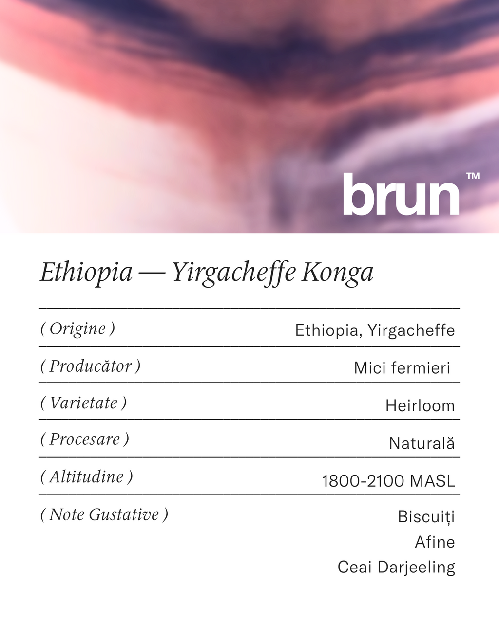 Ethiopia — Yirgacheffe Konga