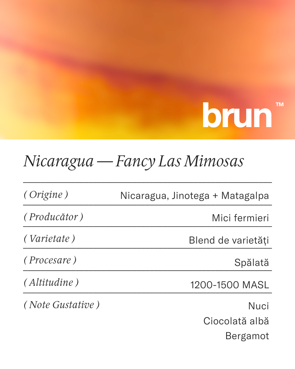 Nicaragua — Fancy Las Mimosas