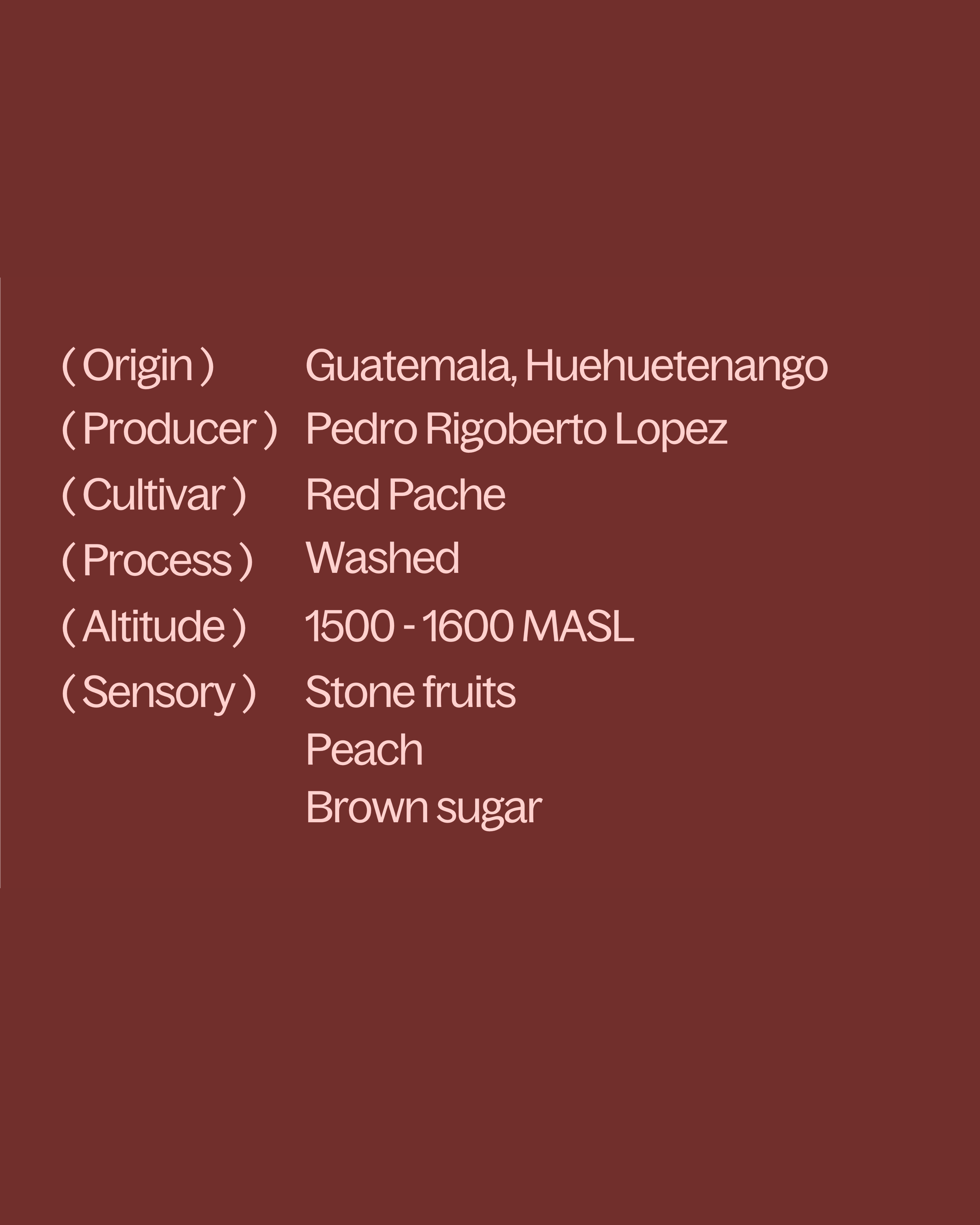 Guatemala — El Mirador Red Pache