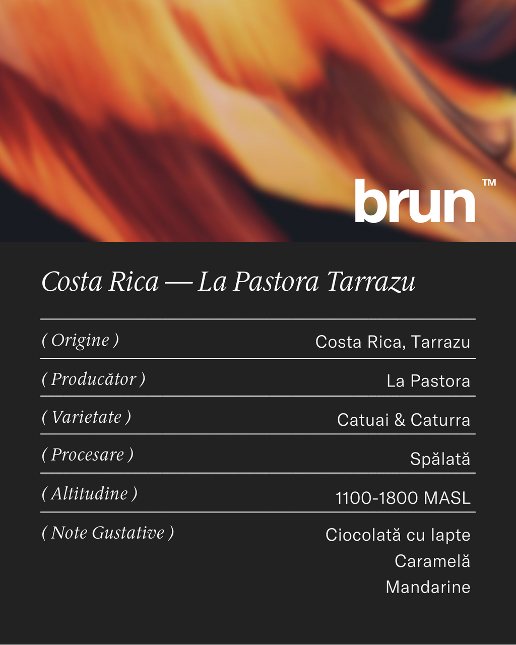 Costa Rica — La Pastora Tarrazu