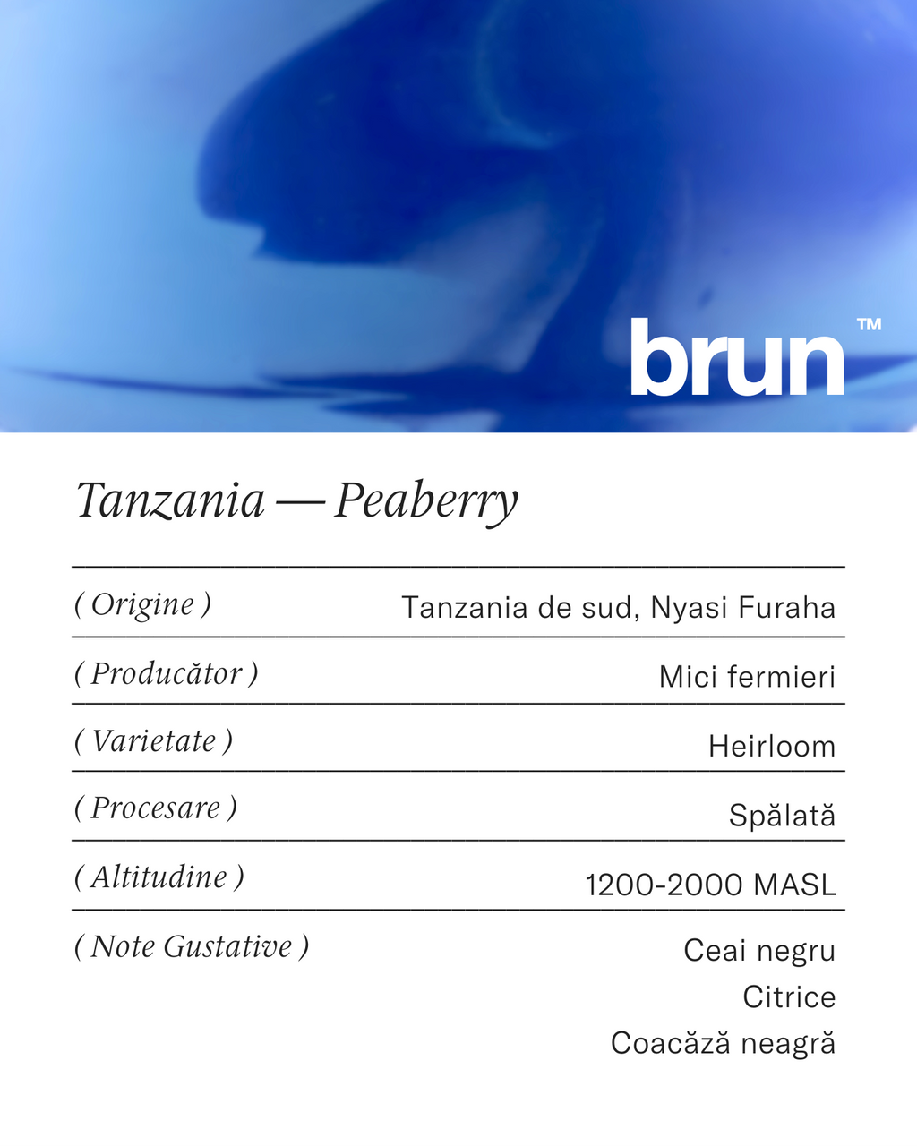 Tanzania — Peaberry