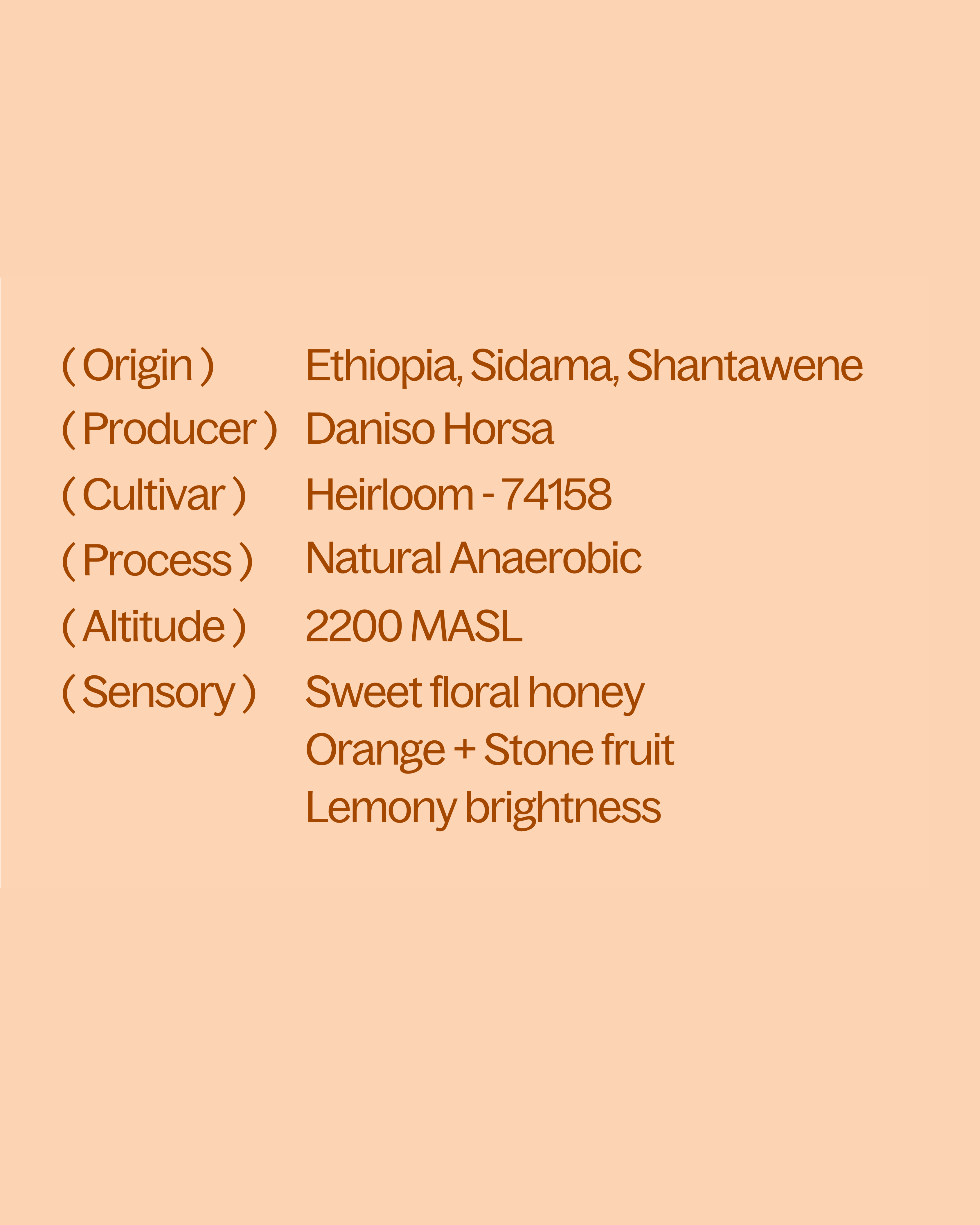 Ethiopia — Sidama Shantawene