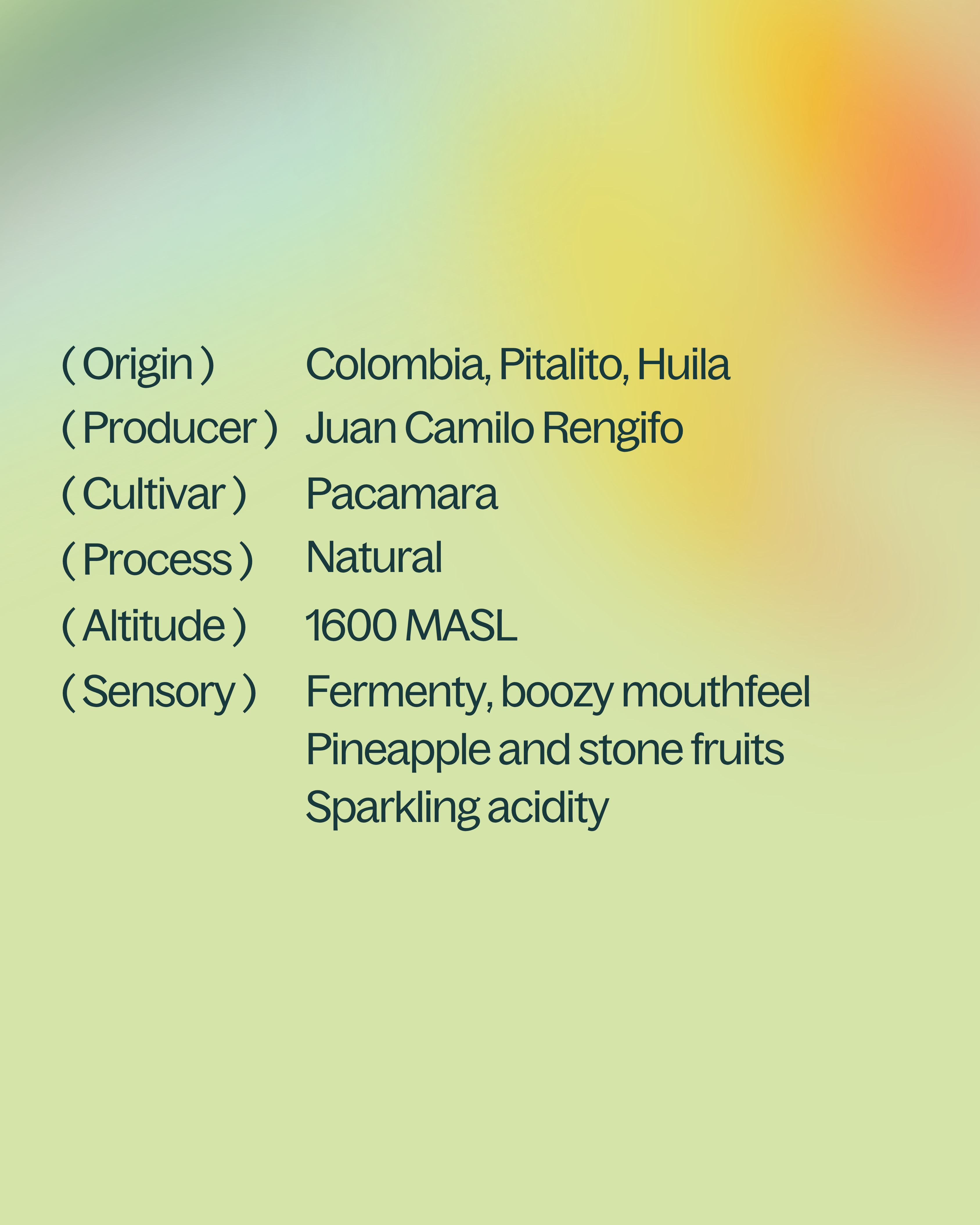 Colombia — Pacamara Natural