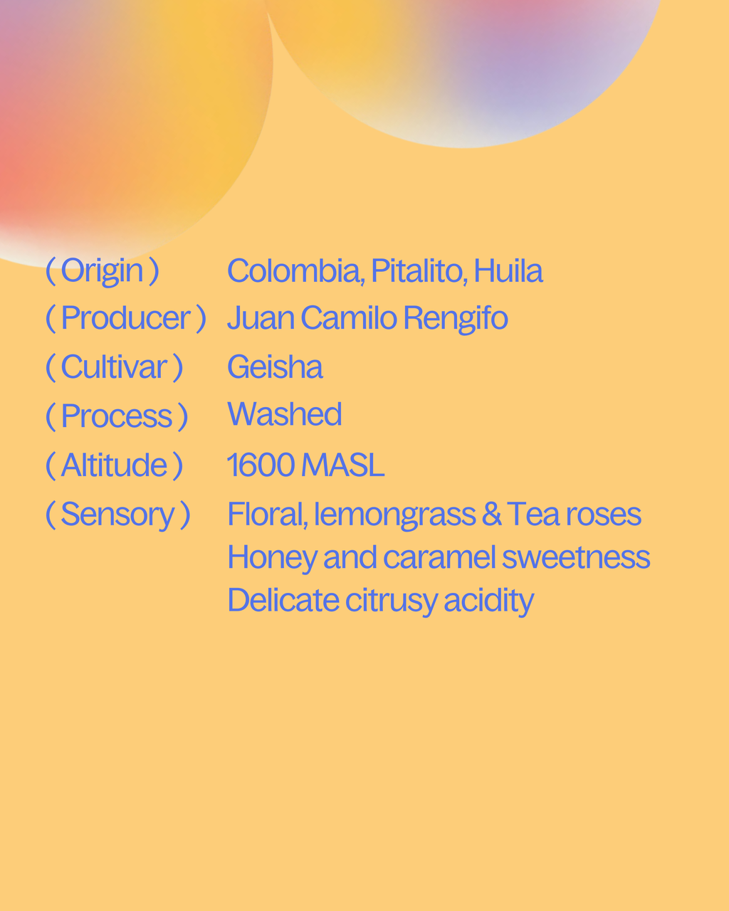 Colombia — Geisha Washed