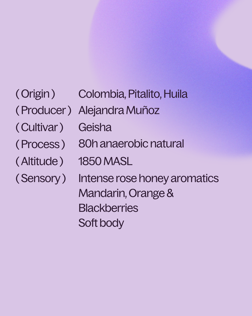 Colombia — Geisha Natural