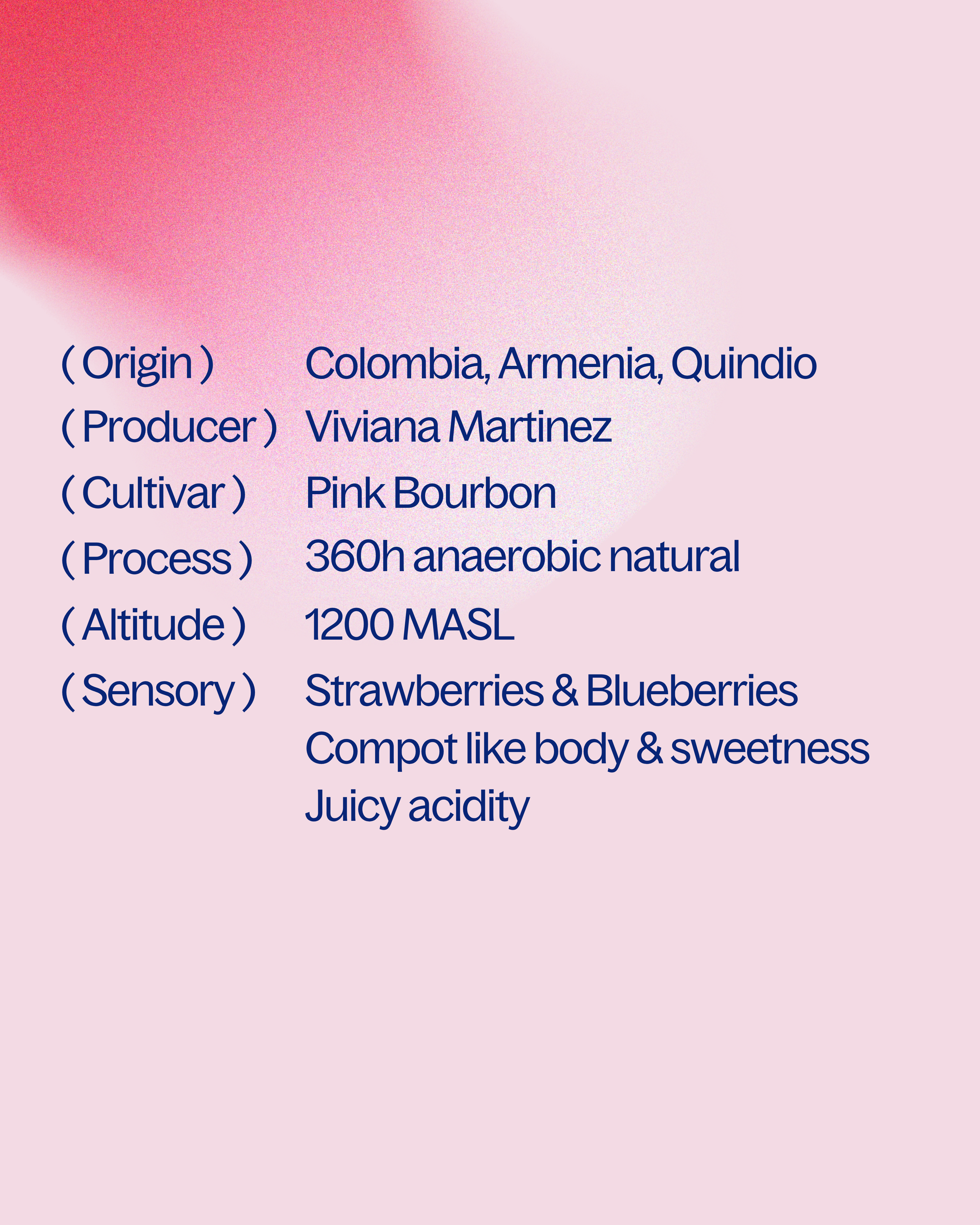 Colombia — Pink Bourbon 360h Anaerob